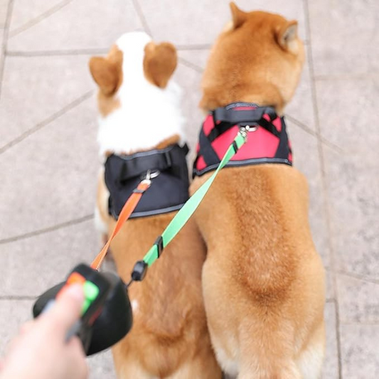 Dual Untangled Dog Leash